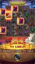 rk5 · Rooster Rbl